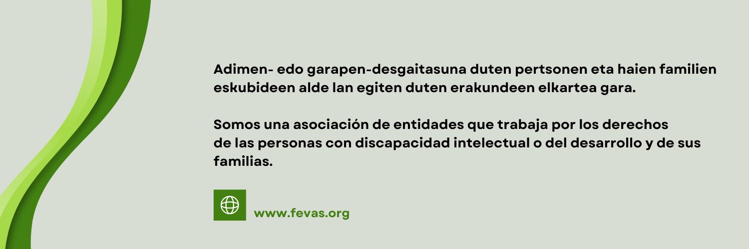 FEVAS Plena inclusión Euskadi banner