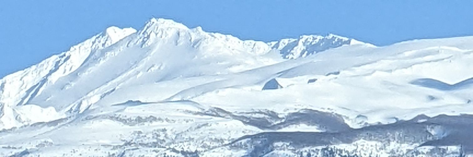 coricorio's profile banner image