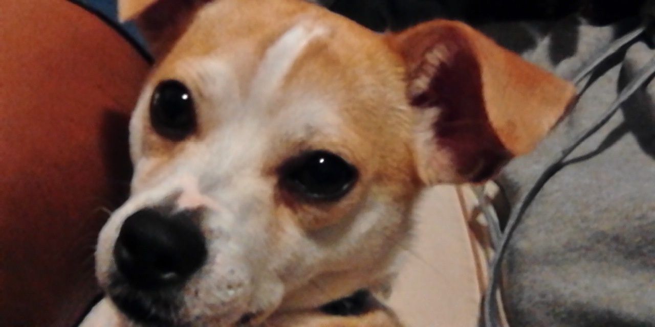 MsIAmHotSh_t's profile banner image