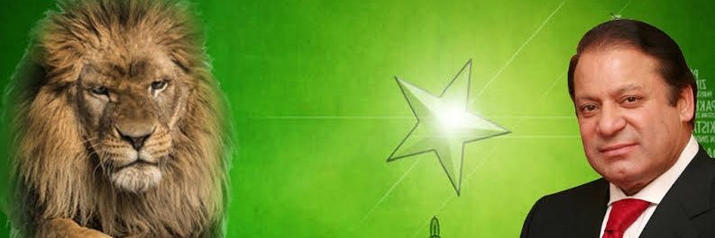 miqi2003's profile banner image
