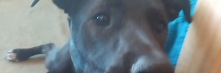 matias41805's profile banner image