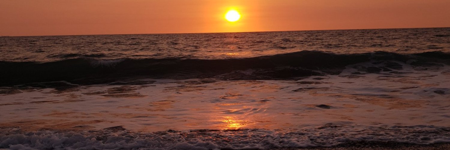 PauFontelera's profile banner image
