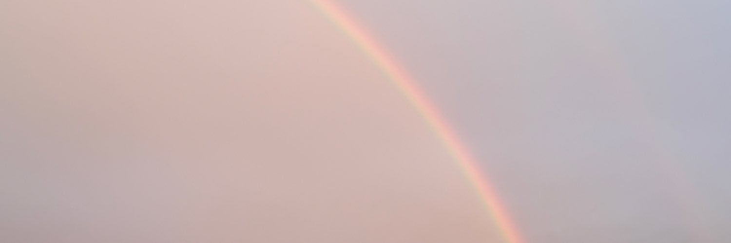 _Ayamental's profile banner image