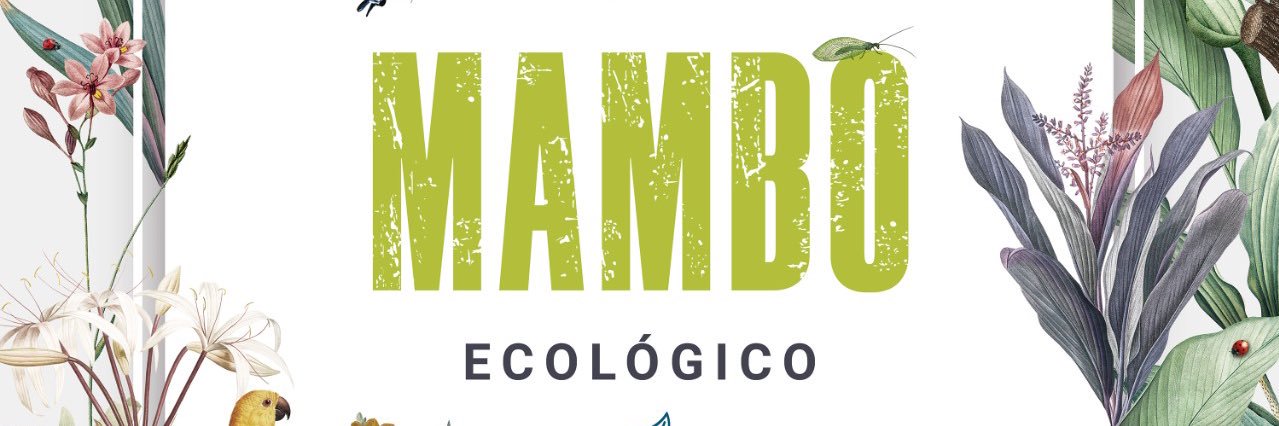 Ecomambo's profile banner image