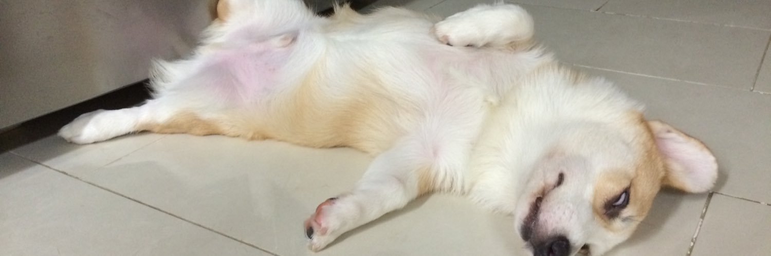 roastbeaf's profile banner image