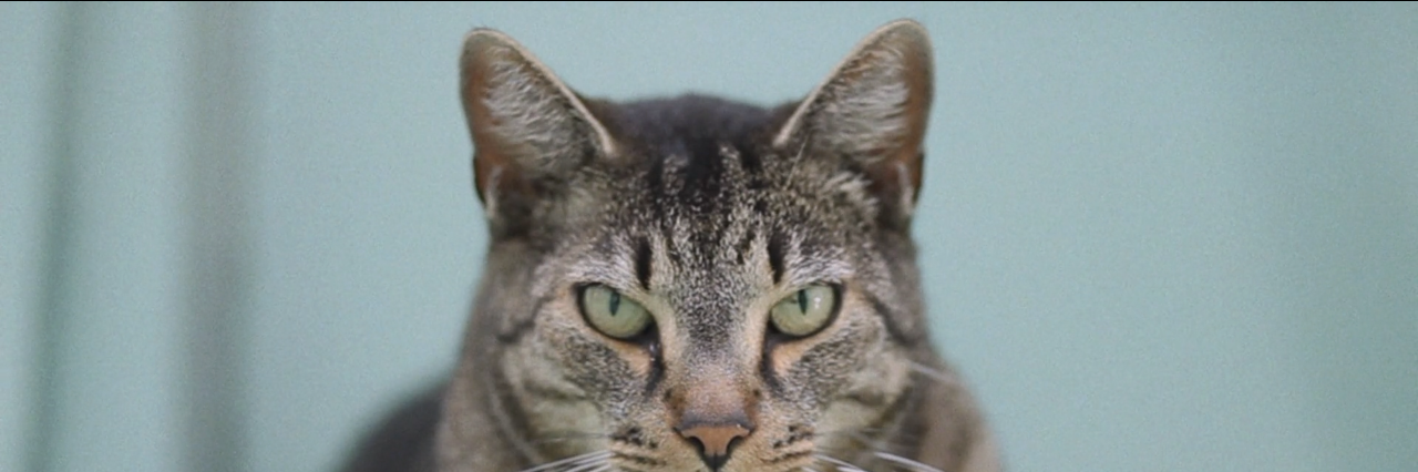inesmu1's profile banner image