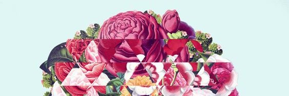 stefany210485's profile banner image