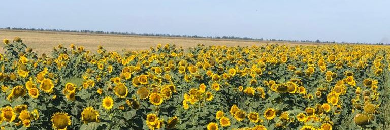 Aartvj's profile banner image