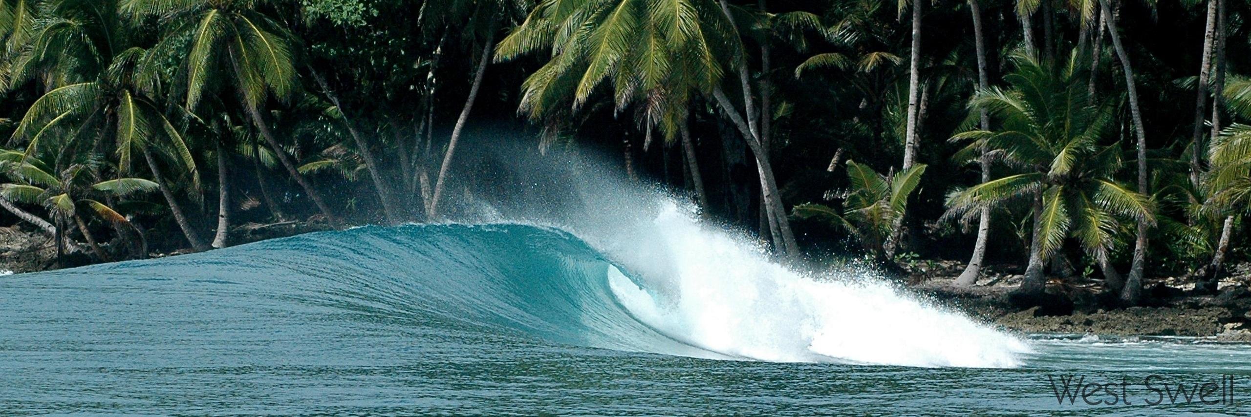 westswell_'s profile banner image