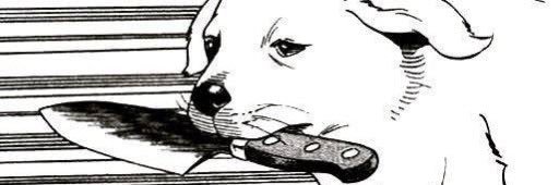 Isacat9's profile banner image