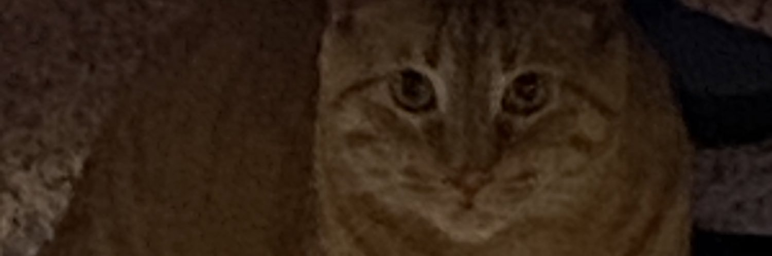 edricandrew_'s profile banner image