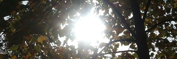 DaRenn144 Profile Banner