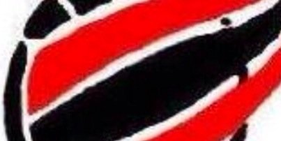 Dulais Netball Clu π² banner