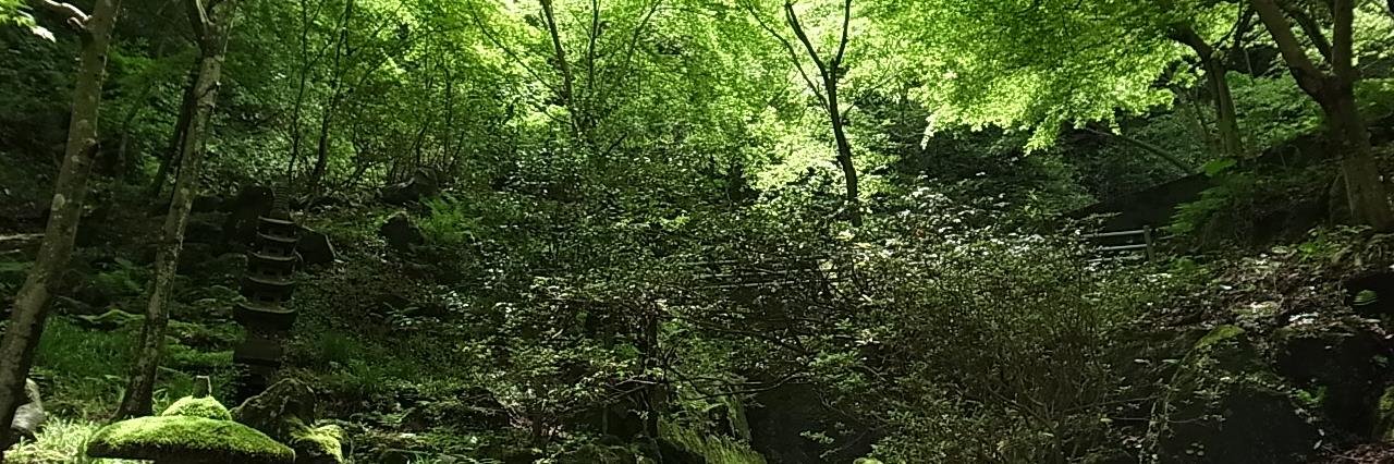 fururi555's profile banner image
