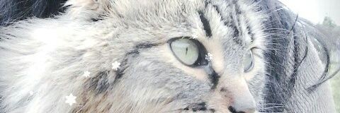 jalezhita's profile banner image