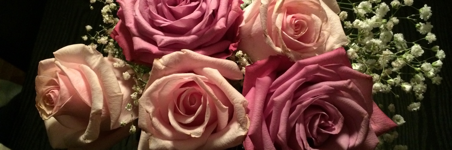 caaarina's profile banner image