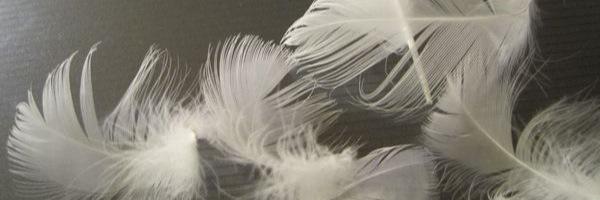 le_premier_jour's profile banner image