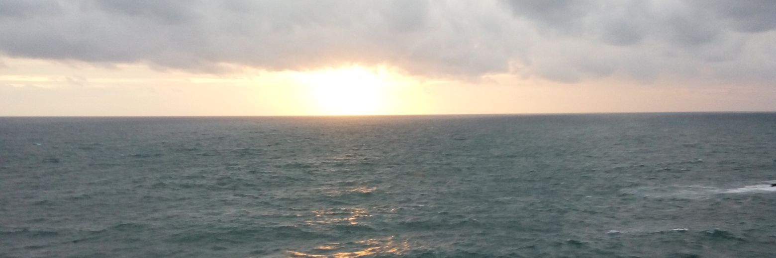emel_emil's profile banner image