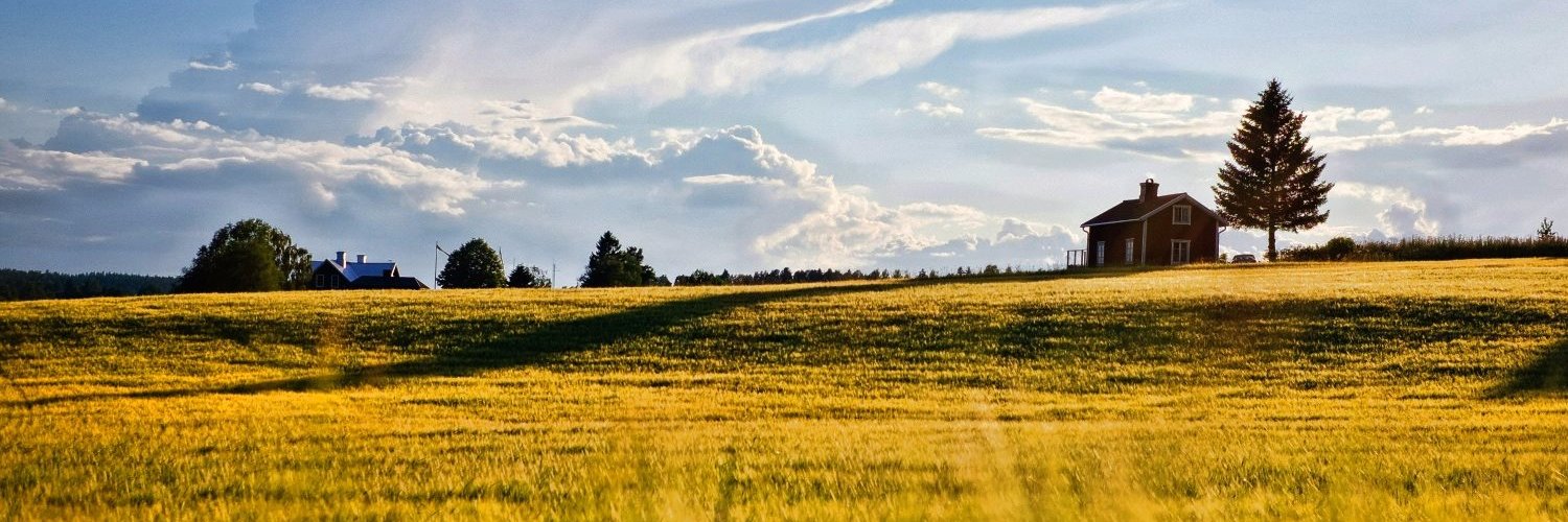 PaolaBaldi93's profile banner image