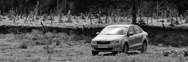 pavi794 Profile Banner