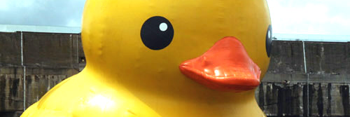 RubberDouggie's profile banner image