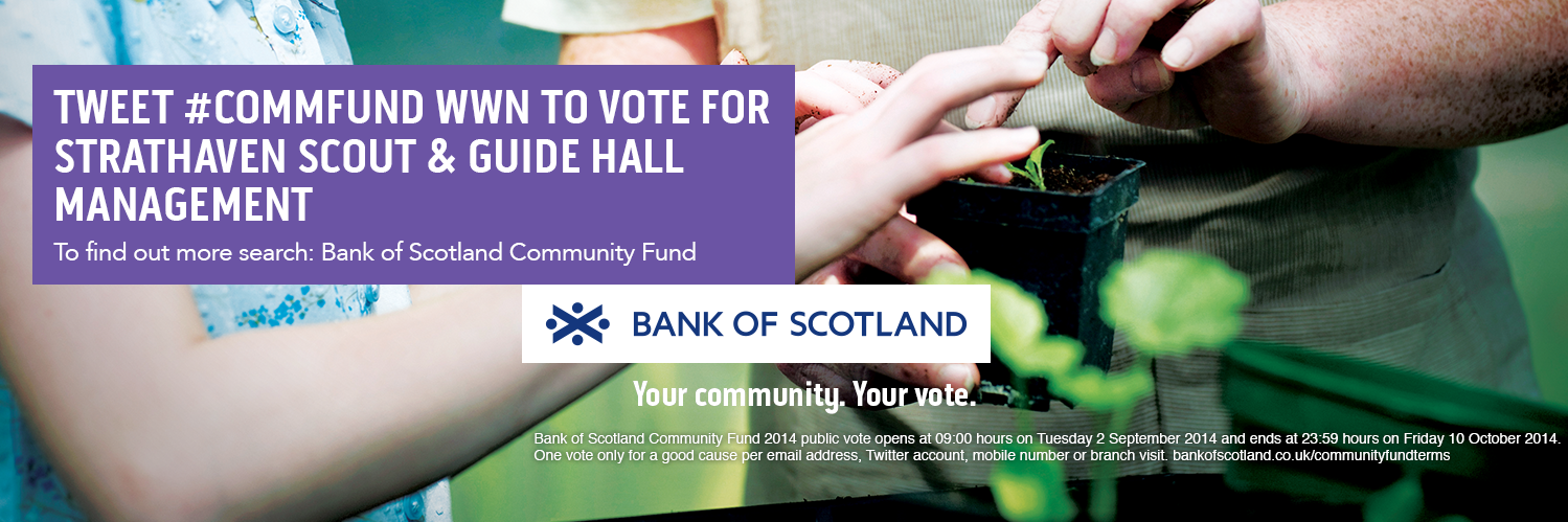 StrathavenScout&GC banner