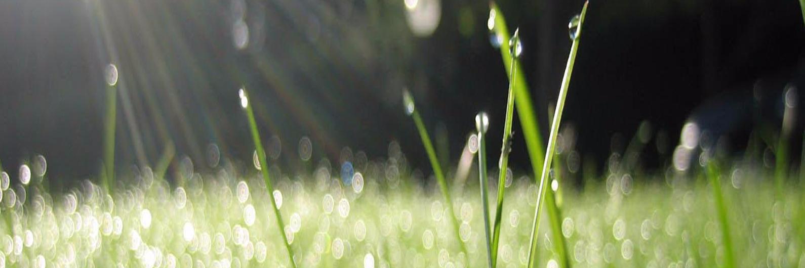 totalbodycareuk's profile banner image