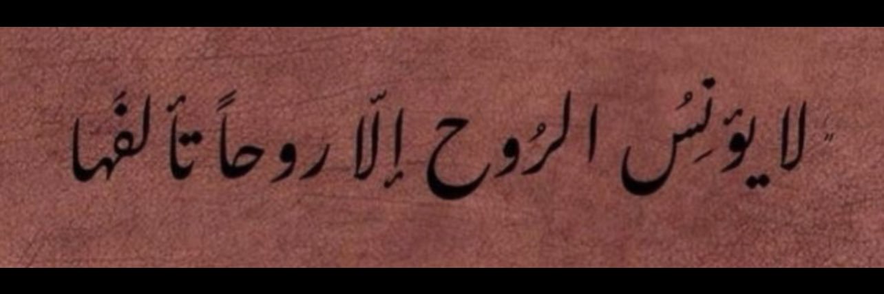 AL__SOLTAN's profile banner image