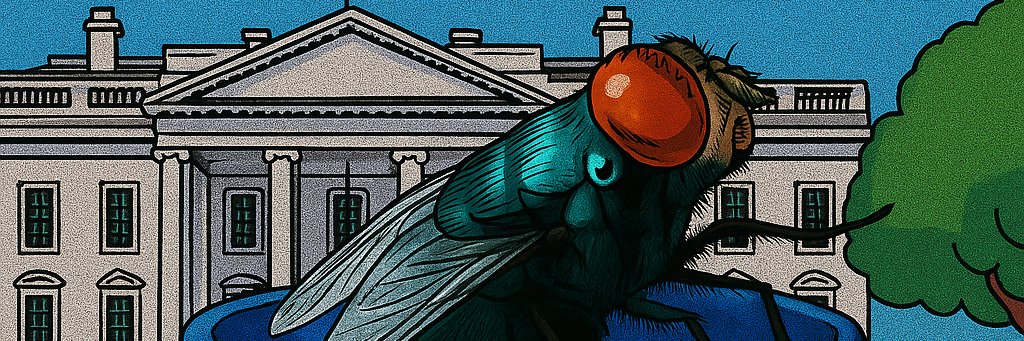 SOUPdao ARTguild NFTproject banner