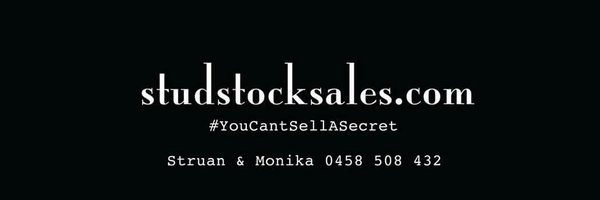 struanp Profile Banner