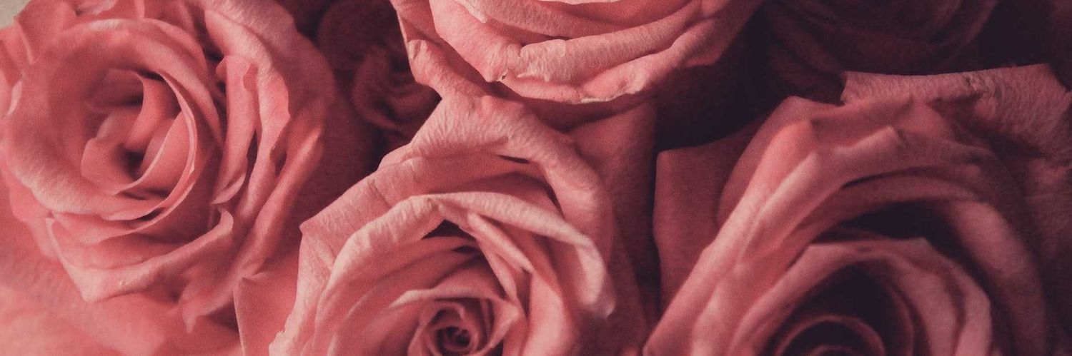 newnaosa's profile banner image
