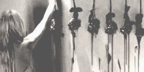 bpdpdqbp's profile banner image
