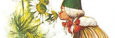 patecillar's profile banner image