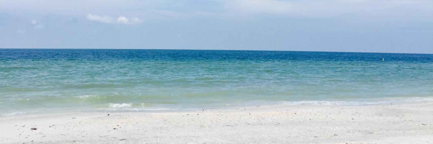 SparkesKaitlin's profile banner image