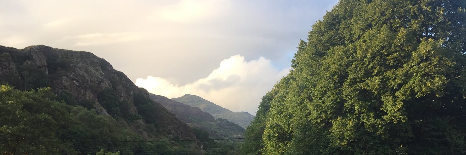 bethan_david_'s profile banner image
