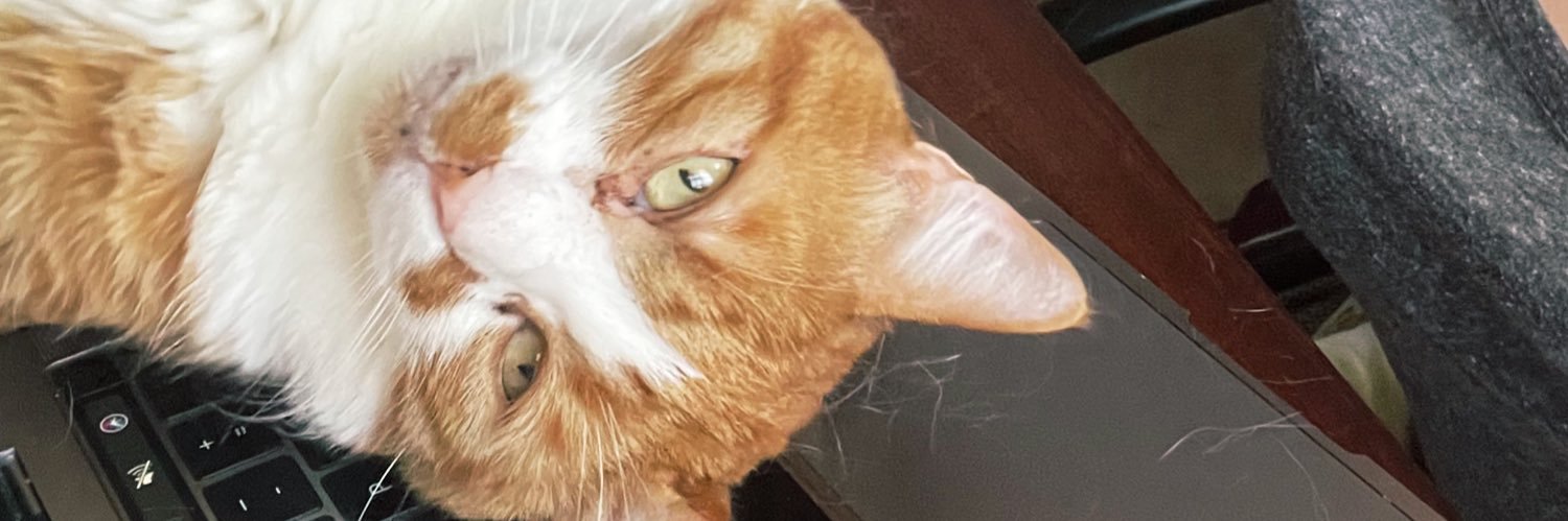 Des ❤️💛❤️ banner