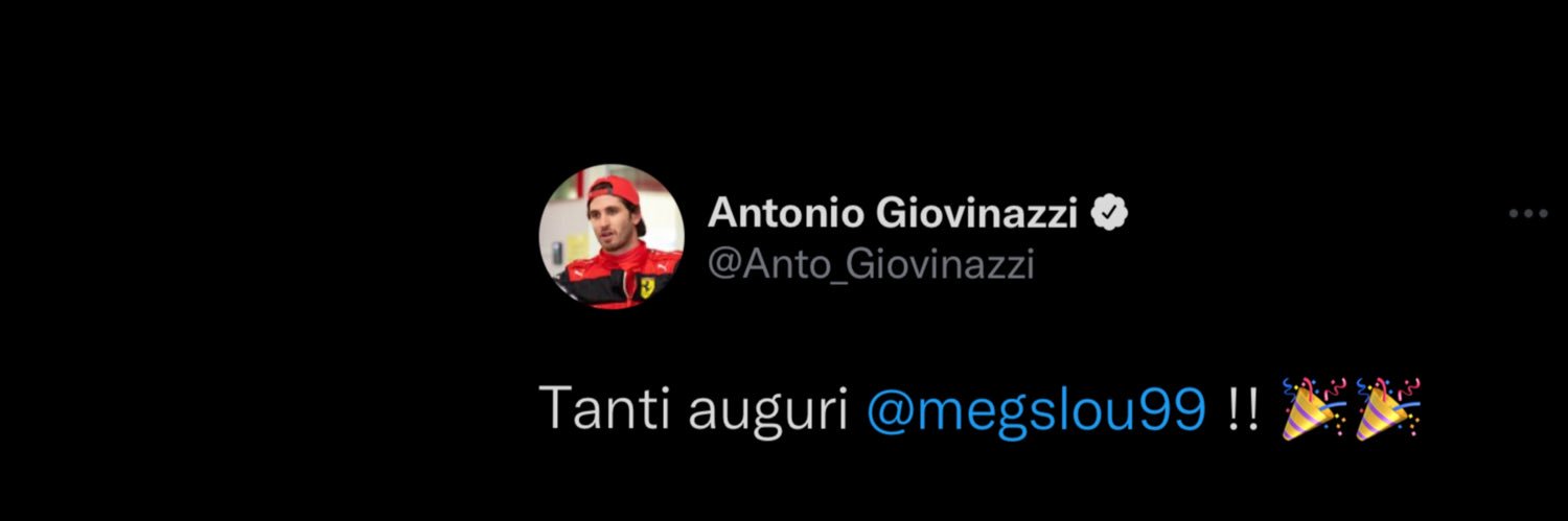 The Megs banner