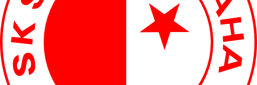 Roman Franta banner