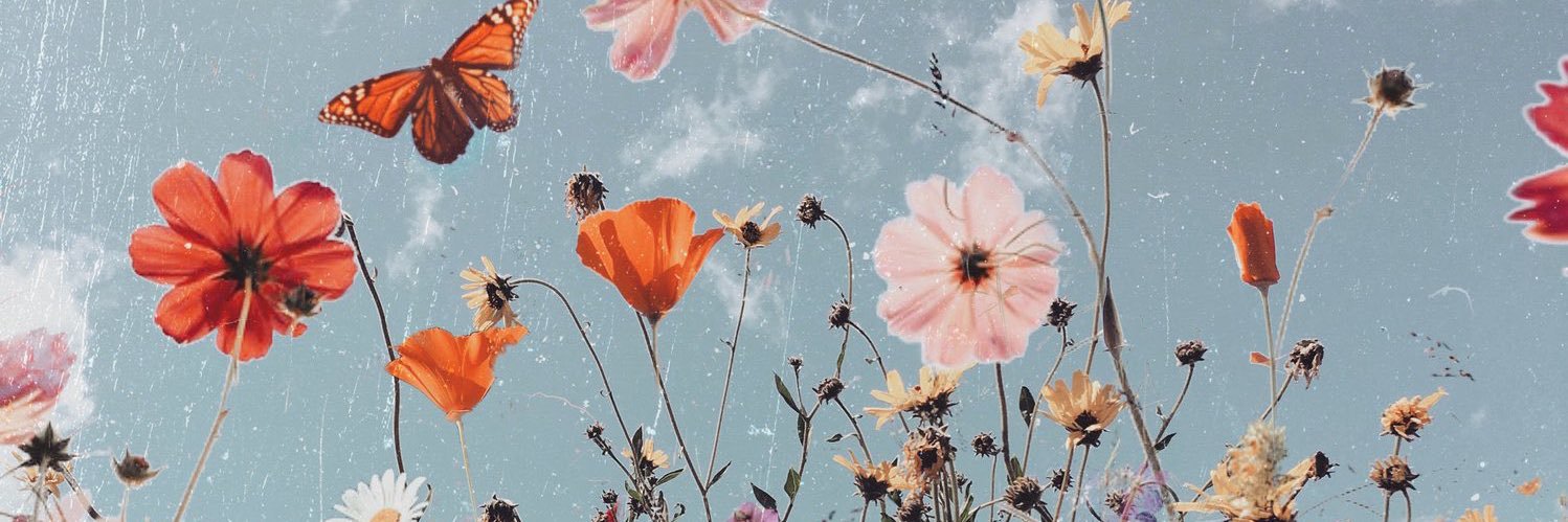 lovatobays's profile banner image