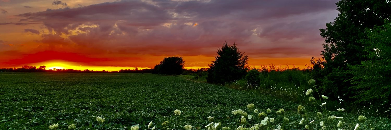 MrsMackayGrade4's profile banner image