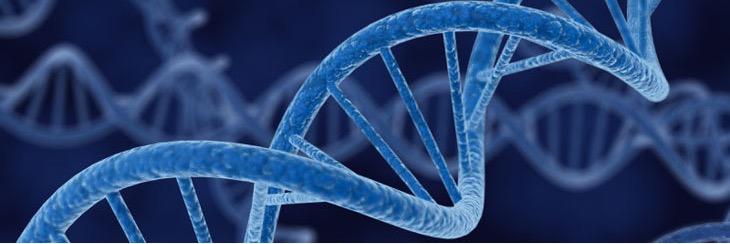 Science_SNA's profile banner image