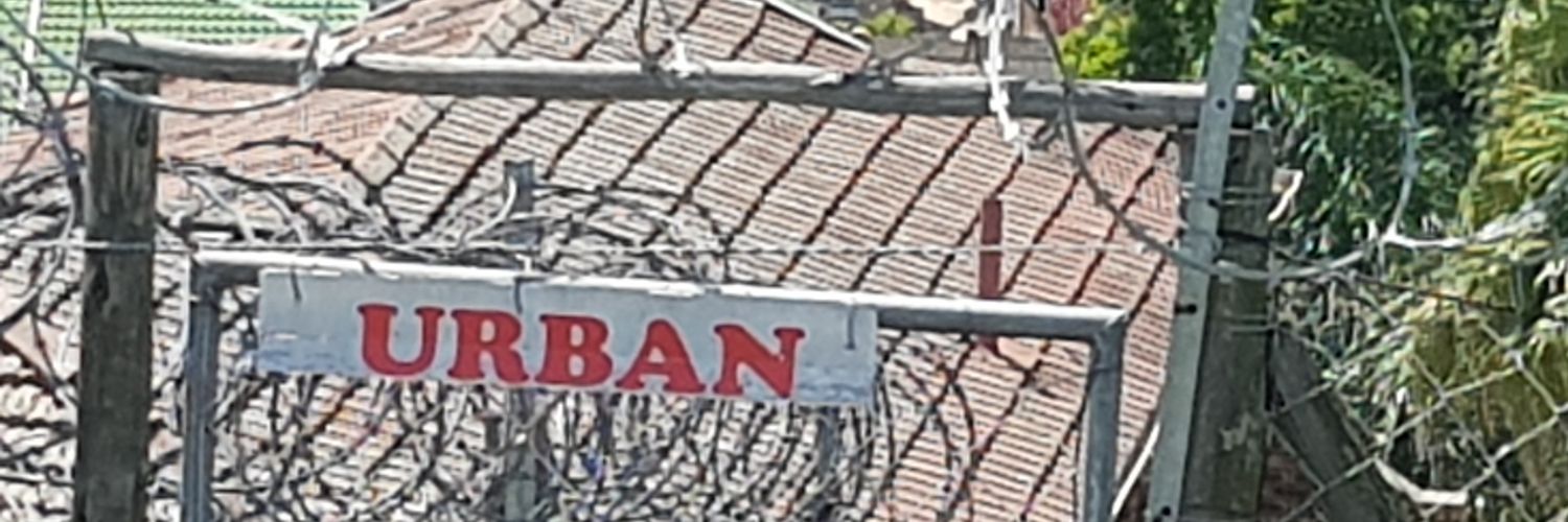 Jennifer Houghton banner