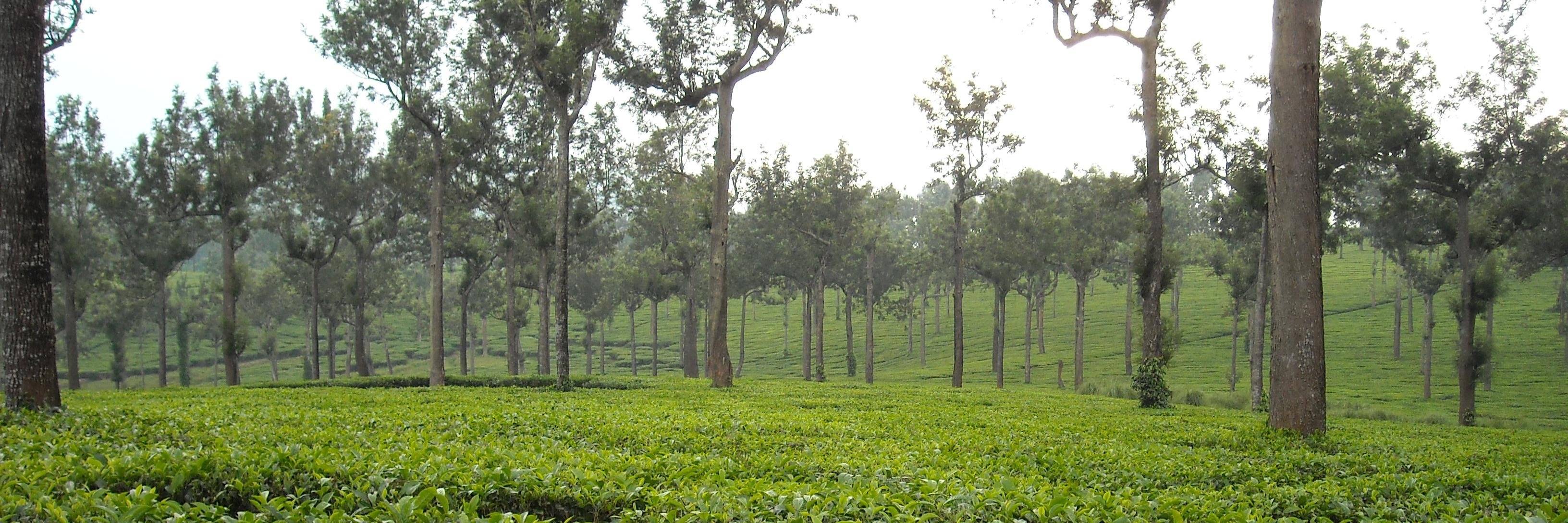 Aparna18875's profile banner image
