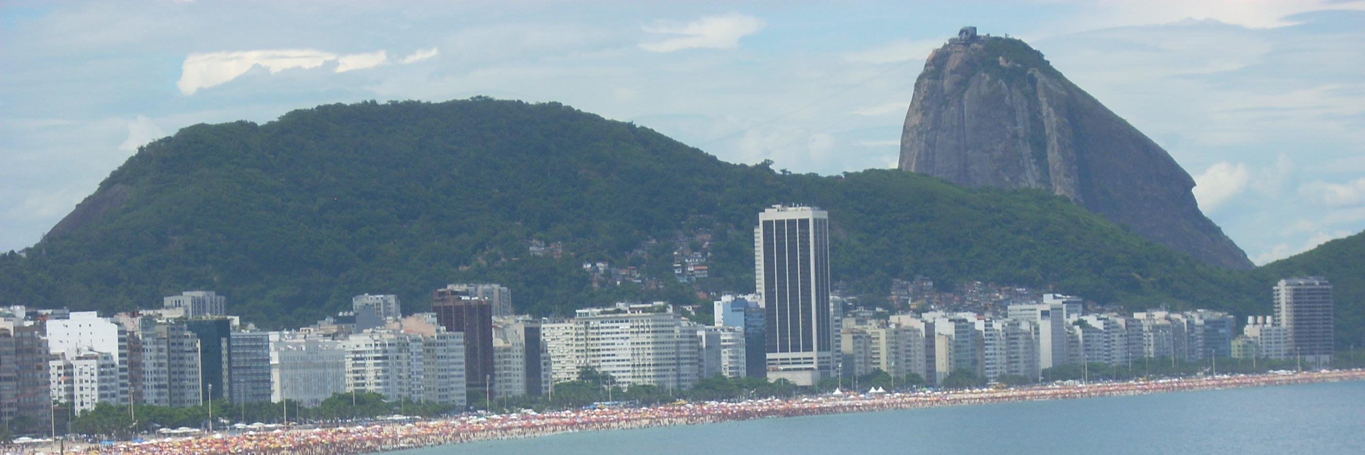João  Martins Filho banner