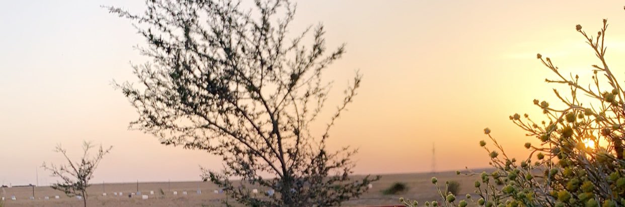 3_i_d's profile banner image