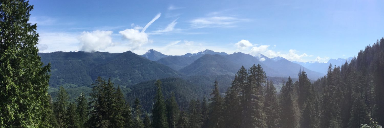 kvasatka's profile banner image