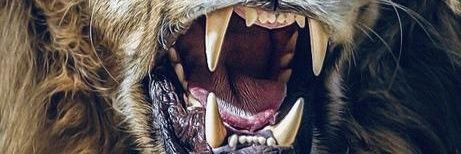 tash_GG's profile banner image
