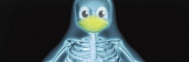 /////////////////// banner