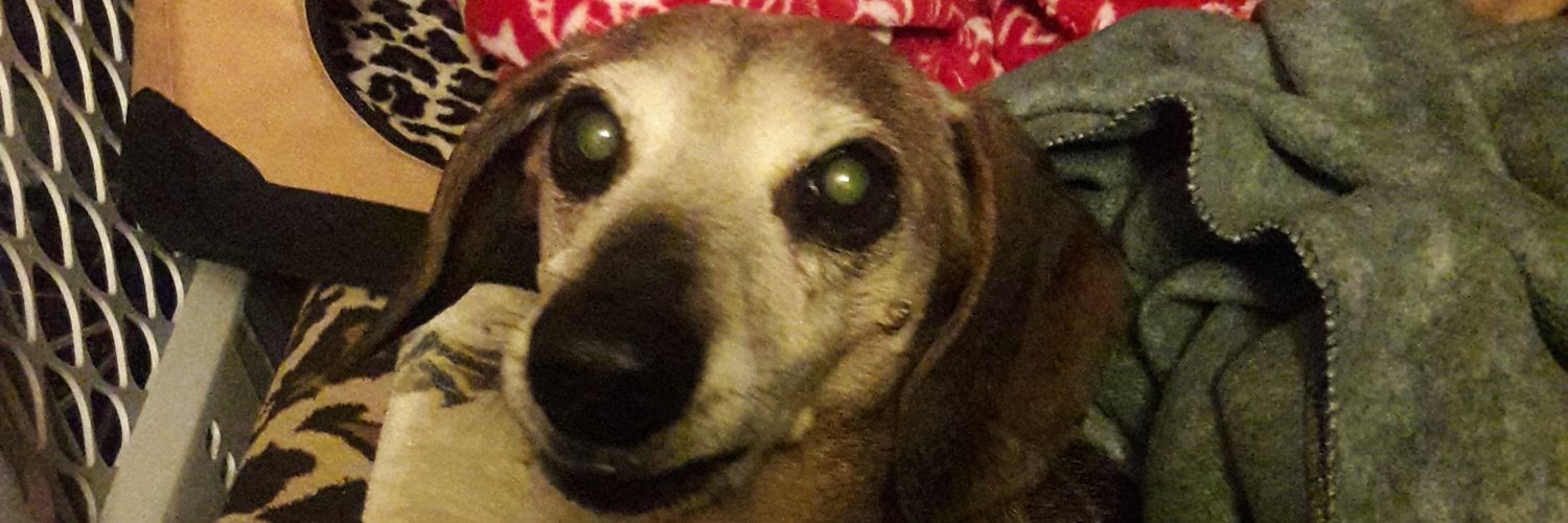 Angel Shorty ❤ 🌈 and mom banner