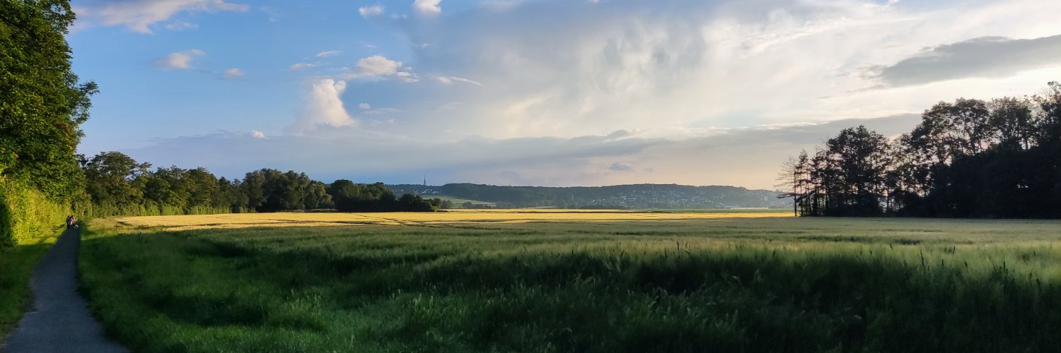 Koebinho_y's profile banner image